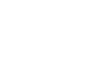 Ford Logo in white on transparent background